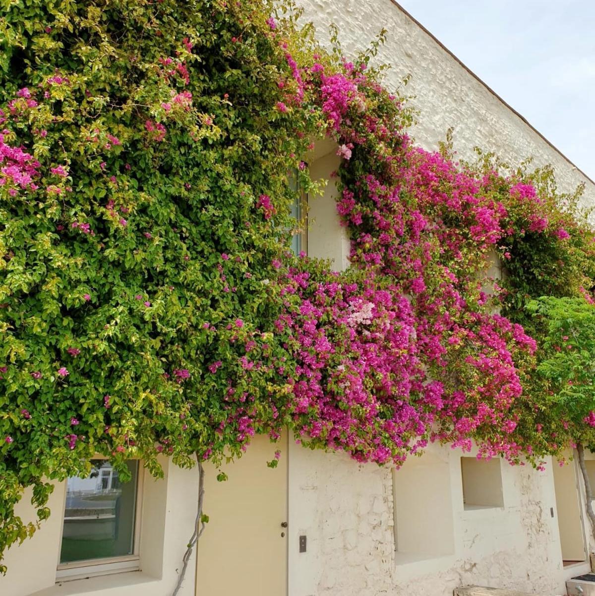 Apartamento Convento Das Bernadas Tavira Exterior foto